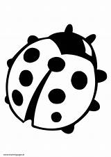 Ladybird Lady Bird Outline Clipart Colouring Clip Pages Cliparts Ladybug Coloring Mummypages Ie Pdf Designs sketch template