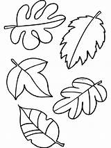 Herfst Kleurplaat Blaadjes Bladeren Herfstbladeren Kiezen Verf sketch template