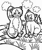 Coloring Cat Gatos Katze Colorironline sketch template