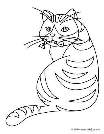 cat eating  fish coloring pages hellokidscom
