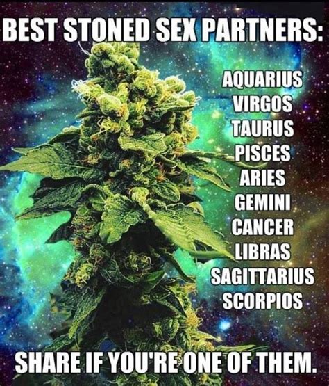 1000 Images About Pot Humor Info On Pinterest Cannabis