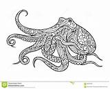 Octopus Coloriage Poulpe Livre Vecteur Adultes Adulti Vettore Polipo Mandala Krake Boek Kleurend Colorier Adults Papiers Peints Serpent 123rf Illustrationen sketch template
