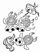 Nemo Coloring Pages Finding Crush Printable Colouring Visit Print Adult sketch template