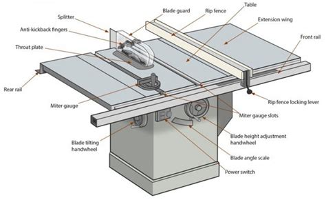 cabinet table  anatomy