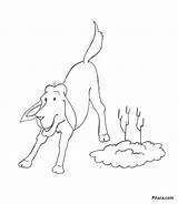 Domestic Animals Coloring Pages Dog Pitara sketch template
