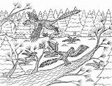 Archaeopteryx Pair Forest sketch template