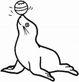 Seal Coloring Circus Pages Clip Kidprintables Gif Return Main Nasales sketch template