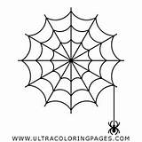 Teia Aranha Spinnennetz Ragnatela Colorare Ausmalbilder Spiderweb Ultracoloringpages Sponsored sketch template