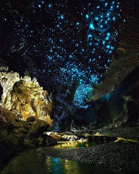 waitomo glowworm caves  zealand   door wear