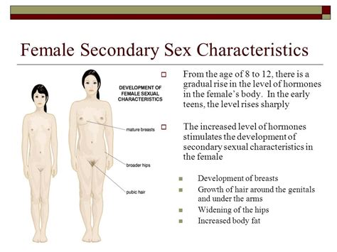 secondary sex characteristics of males pics and galleries