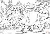 Triceratops Triceratopo Dinosaurier Dinossauro Dinosauri Stampare Dinosaurio Malvorlagen Kategorien Raskrasil sketch template