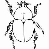 Bug Outline Colouring Pages Beetle Insects sketch template