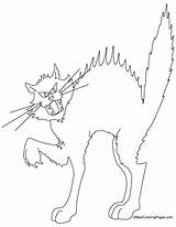 Cat Coloring Pages Cats Warrior Scary Colouring Splat Printable Color Halloween Print Getcolorings Comments Coloringhome Getdrawings Popular Colorings sketch template