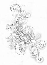 Tattoo Scorpion Scorpio Tattoos Designs Drawing Zodiac Feminine Skorpion Sign Symbol Girly Line Drawings Constellation Sketch Latest Women Aesthetic Realistic sketch template