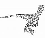 Dinosaur Velociraptor Raptor Jurassique Parc Lego Dinosaurier Indominus Colorier Dinosaurus Dinossauro Dilophosaurus Delta Coloringhome Dinossauros Malvorlage Dinosaure Colorindo Ausmalen Mewarnai sketch template