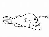 Angler Fish Drawing Anglerfish Coloring Pages Easy Print Color Getdrawings Place Getcolorings Paintingvalley Button Through sketch template