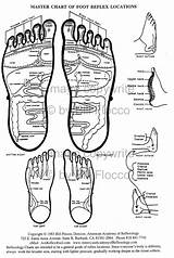 Reflexology Foot Chart Diabetes Charts sketch template