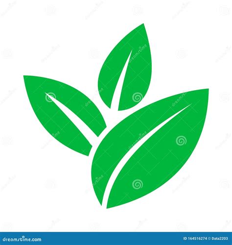 green leaf vector icon stock vector illustration  isolated