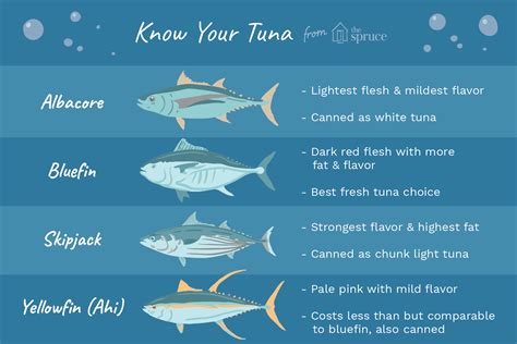 albacore  tuna