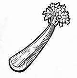 Celery Clipart Stalk Drawing Stick Clip Getdrawings Transparent Cliparts Clipground Library Webstockreview sketch template