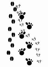 Tracks Animal Coloring Pages Printable Animals Footprints Large Traces Dessin sketch template