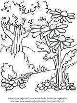 Coloring Trees Pages Flowers Plants Color Printable Getcolorings sketch template