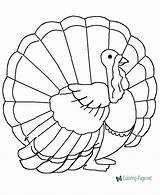 Turkey Coloring Printable Pages Wild sketch template