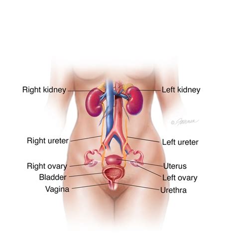 urinary diversion symptoms diagnosis and treatment