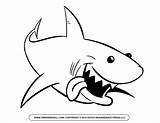 Shark Clipart Cartoon Outline Kids Coloring Templates Silhouette Doing Enjoy Own If sketch template