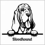 Bloodhound Peeking Clipground sketch template