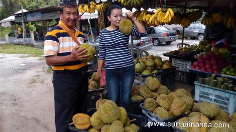 Makan Durian Sampai Puas 2017 Monica Moore