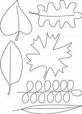 Coloring Leaves Pages Autumn Leaf Printable Blank Kids Openclipart Leafs Print Draw Getdrawings Getcolorings Colorings Log Into Large sketch template