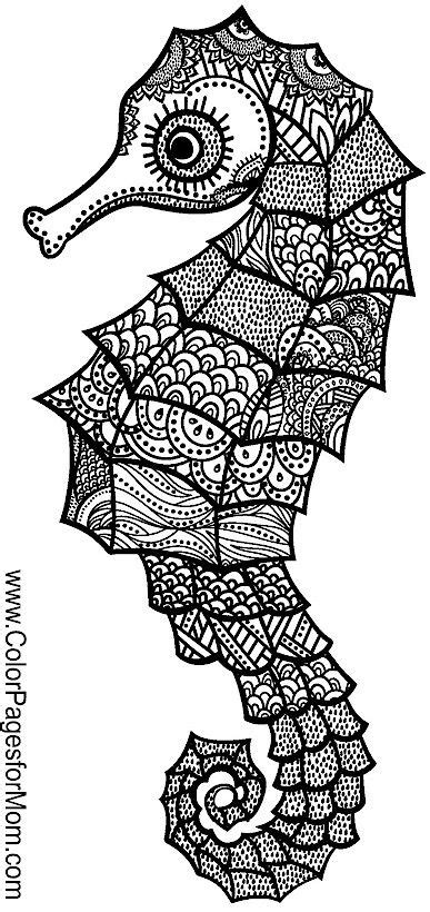 baby animal coloring pages  adults png  file