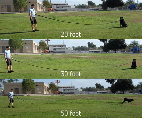 range   foot heavy duty training leash  large dogs