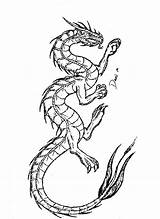 Dragons Tattoo Colouring sketch template