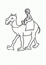 Camel Coloring Caravan Popular Library Clipart sketch template