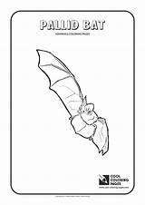 Coloring Pallid Bat Pages Cool Animals Mammals Print sketch template