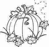 Coloring Pumpkin Squash Colorear Wecoloringpage sketch template