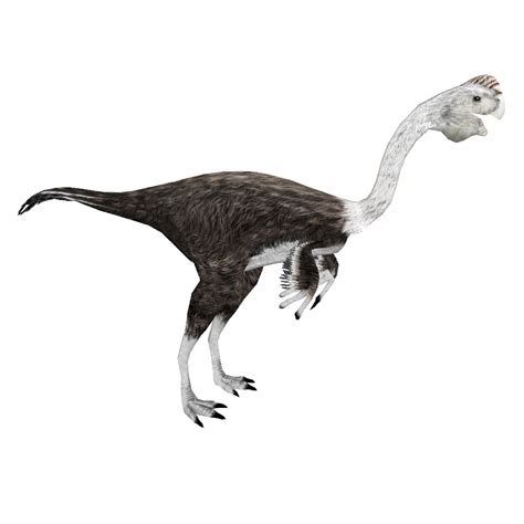 gigantoraptor  zt  library wiki fandom powered