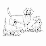 Coloring Surfnetkids Puppies Dog Animals Dogs Pages Mother sketch template