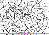 Deer Magique Magiques Difficiles Paper раскраска по sketch template
