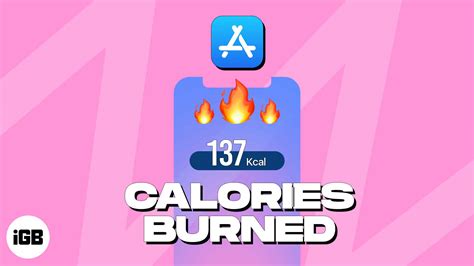 Best Calorie Counter Apps For Iphone And Ipad In 2024 Igeeksblog