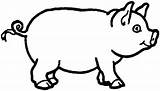 Pig Coloring Pages Draw Drawing Colouring Pigs Kids Animals Printable Cartoon Small Colour Large Sheet Cartoons Preschoolers Body Source Cute sketch template