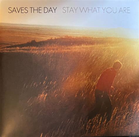 saves  day stay     translucent yellow  brown smoke vinyl discogs