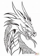 Dragon Realistic Drawing Coloring Pages Getdrawings Head sketch template