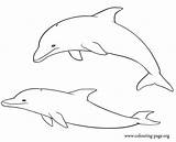 Dolphins Coloring Printable Dolphin Pages Easy Colouring Drawing Couple Playing Drawings Draw Cliparts Step Clipart Printables Template Print Animals Baby sketch template