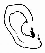 Ear Coloring Pages Draw Color sketch template