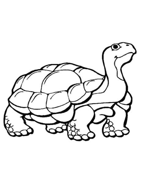 animal coloring page printable  coloring page coloring home