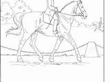 Breyer Horse Coloring Pages Getdrawings Color Getcolorings Printable sketch template