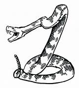 Rattlesnake Diamondback Getcolorings Ra Printable sketch template